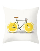 TPR174-23 / 4545cm excluding pillow core