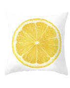 TPR174-22 / 4545cm excluding pillow core