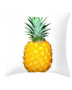 TPR174-19 / 4545cm excluding pillow core