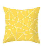 TPR174-35 / 4545cm excluding pillow core